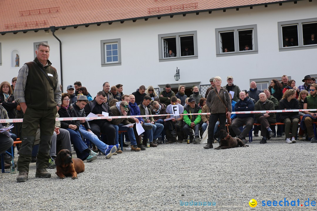 Jagdhundetag Dornsberg der Landesjagdschule: Eigeltingen, 23.04.2017