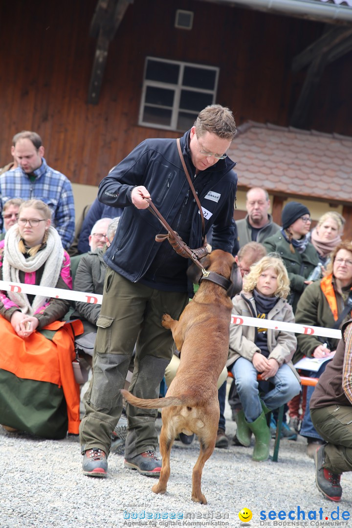 Jagdhundetag Dornsberg der Landesjagdschule: Eigeltingen, 23.04.2017