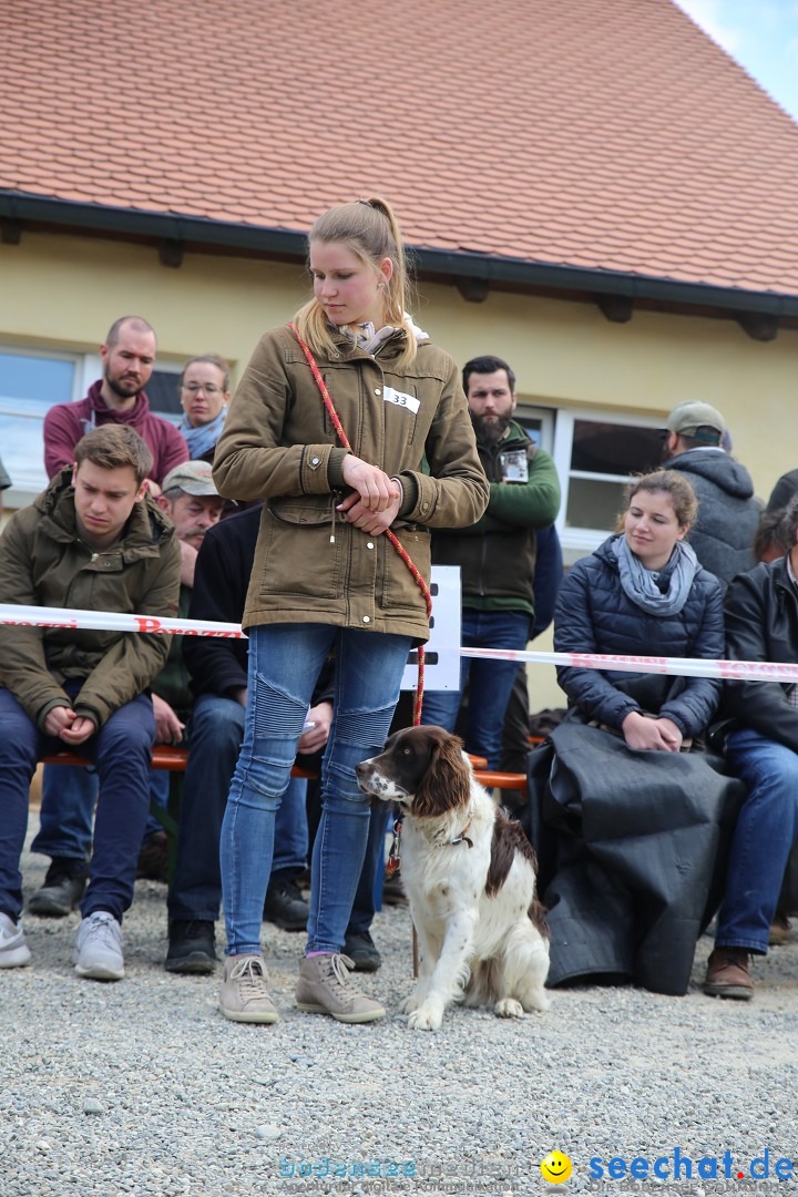 Jagdhundetag Dornsberg der Landesjagdschule: Eigeltingen, 23.04.2017