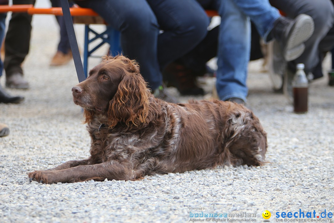 Jagdhundetag Dornsberg der Landesjagdschule: Eigeltingen, 23.04.2017