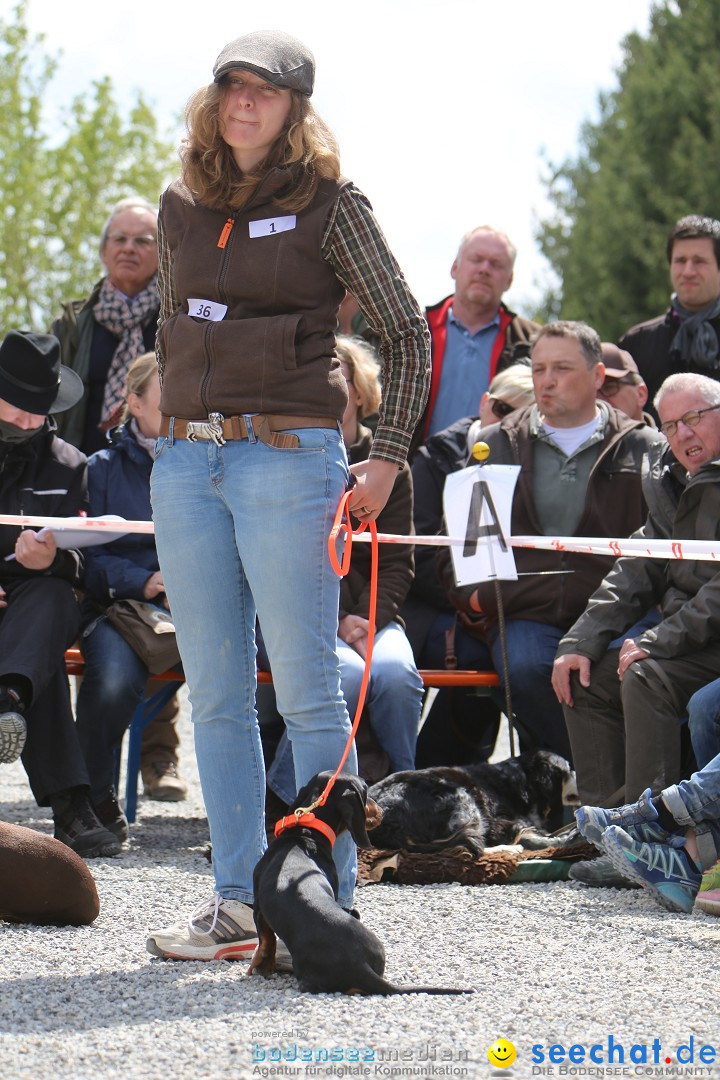 Jagdhundetag Dornsberg der Landesjagdschule: Eigeltingen, 23.04.2017