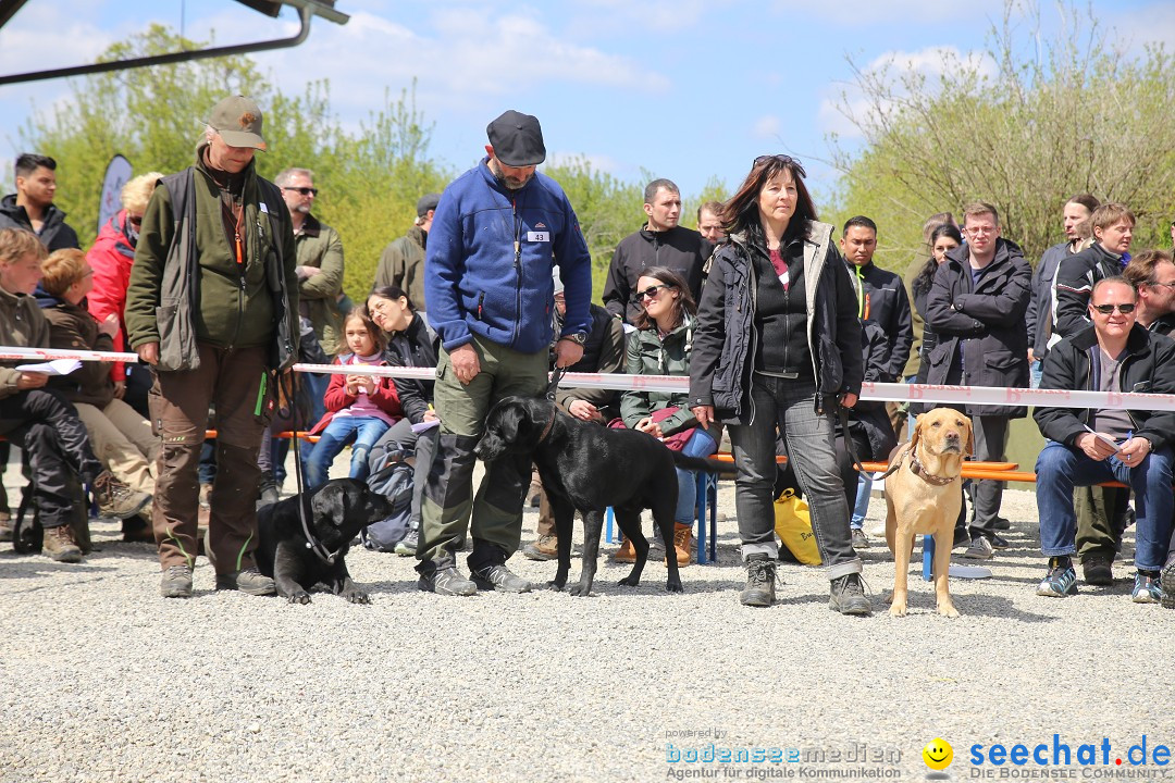 Jagdhundetag Dornsberg der Landesjagdschule: Eigeltingen, 23.04.2017