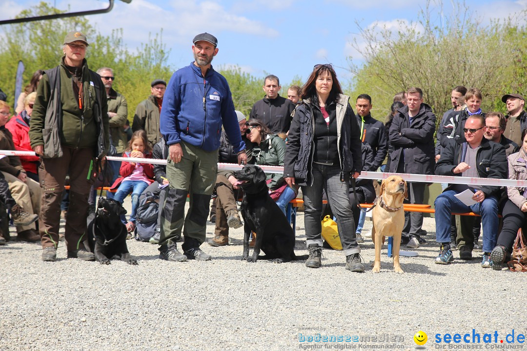 Jagdhundetag Dornsberg der Landesjagdschule: Eigeltingen, 23.04.2017