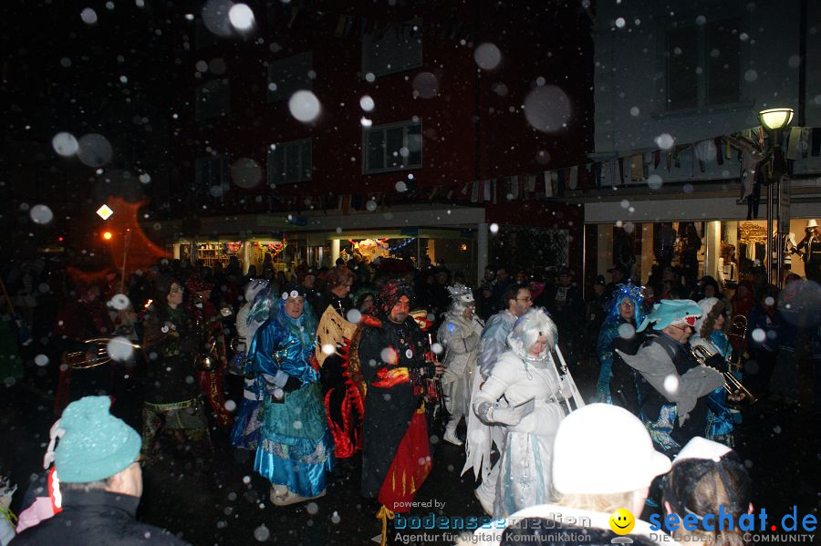 Nachtumzug: Singen, 29.01.2010