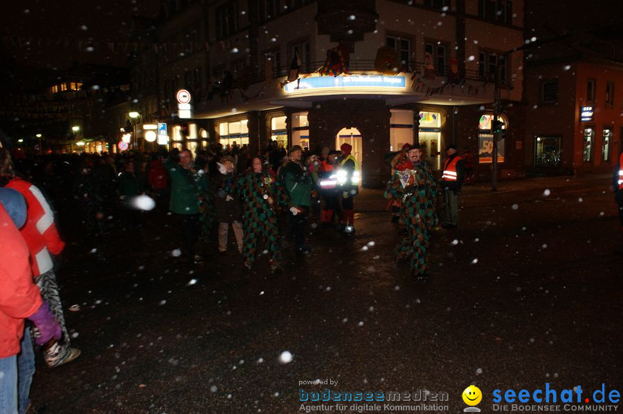 Nachtumzug: Singen, 29.01.2010