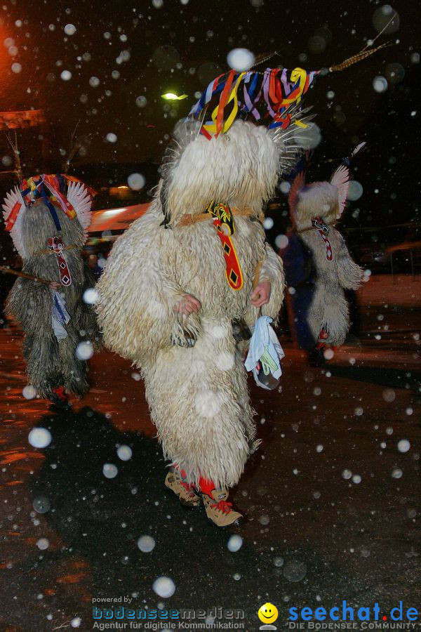 Narrenumzug: Singen, 29.01.2010