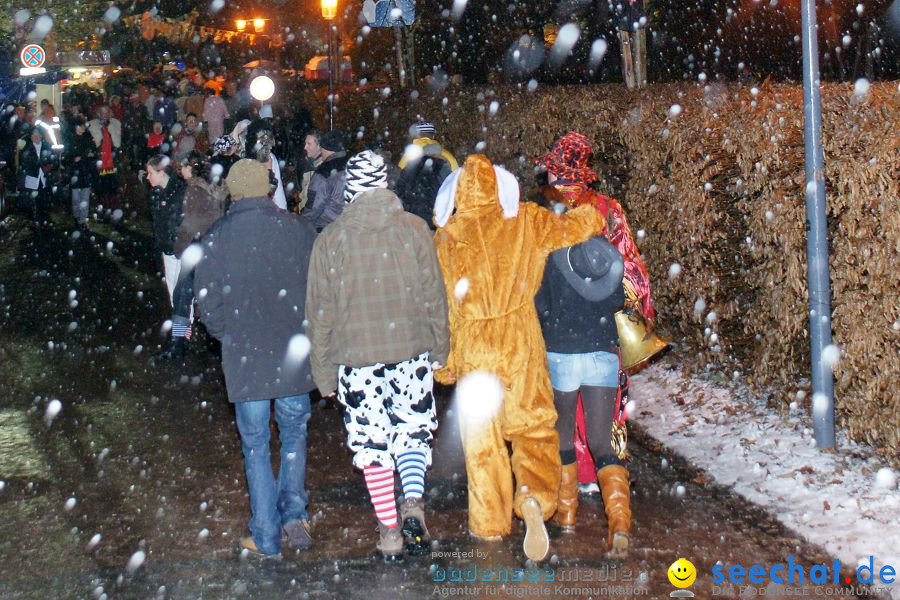 Narrentreffen: Singen, 29.01.2010
