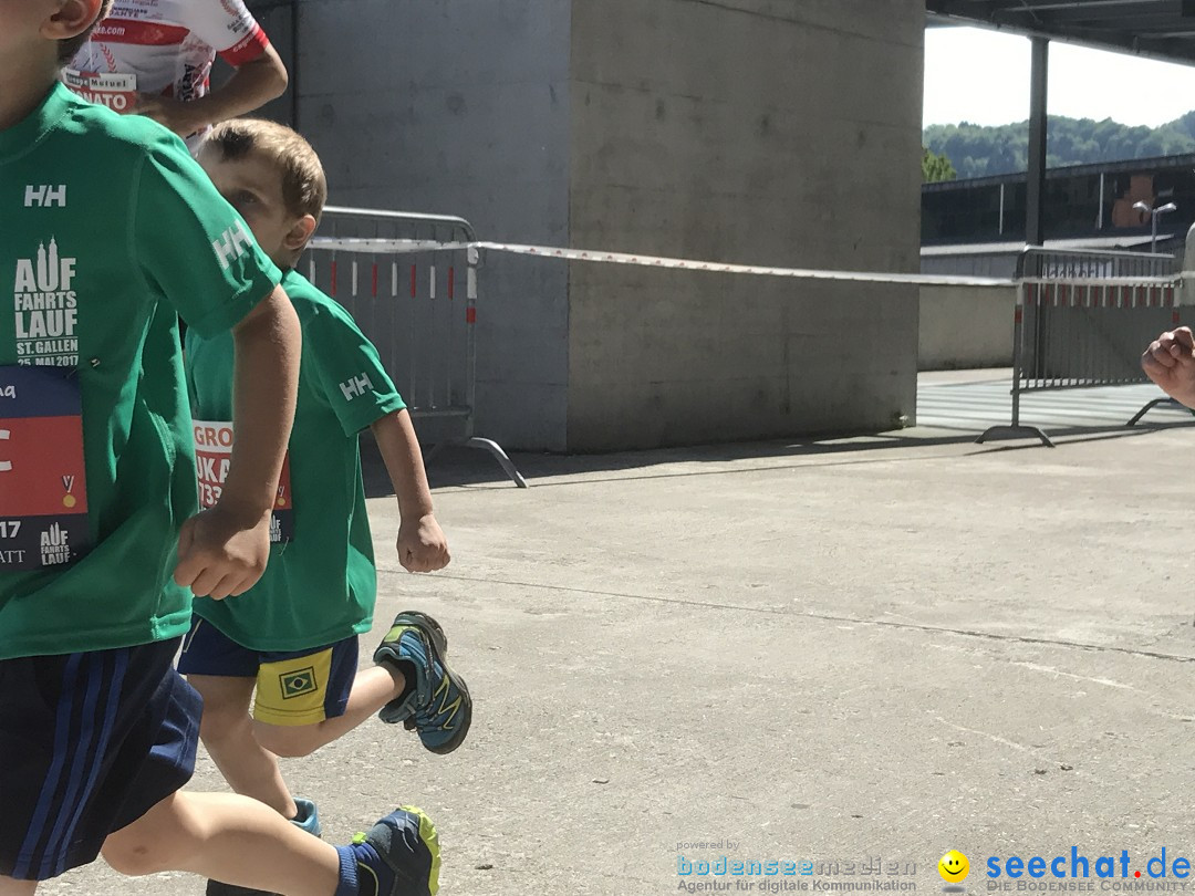 Auffahrtslauf: St. Gallen am Bodensee, 25.05.2017