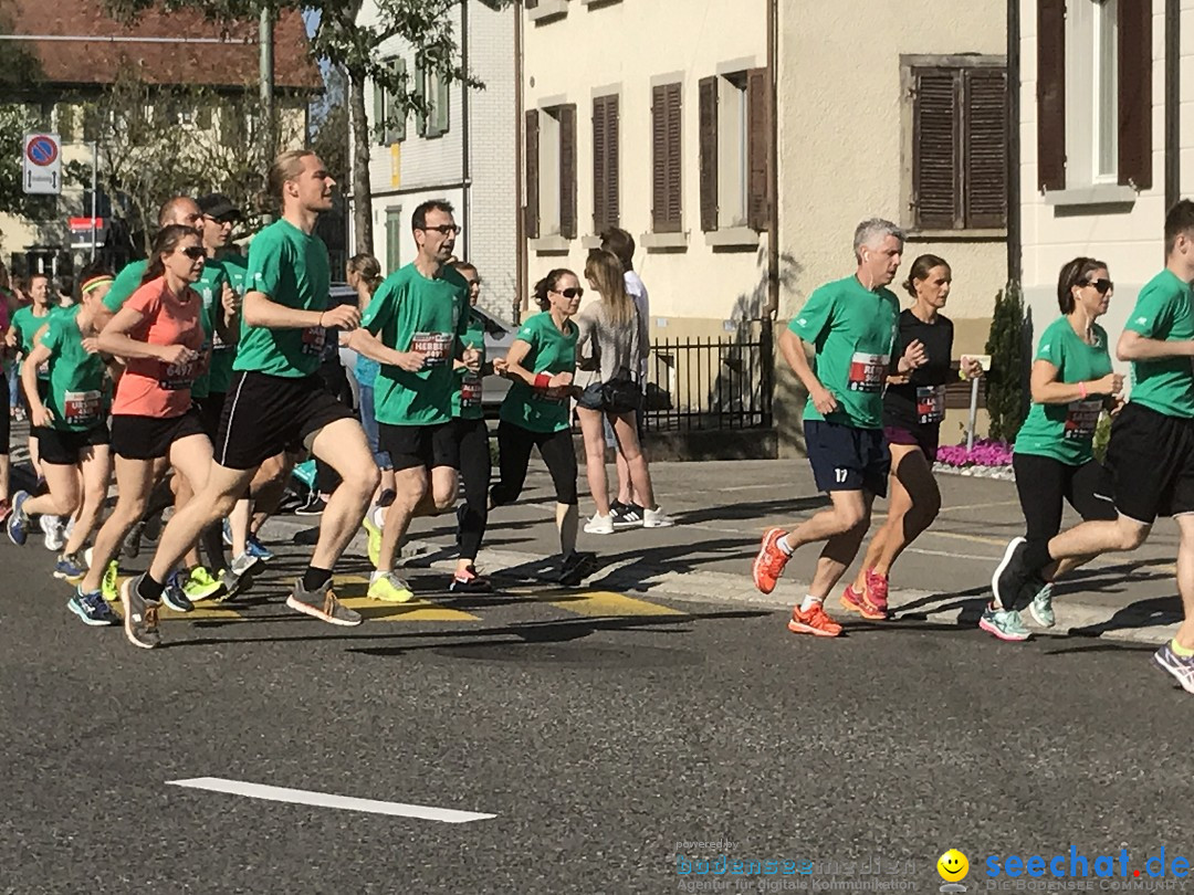 Auffahrtslauf: St. Gallen am Bodensee, 25.05.2017