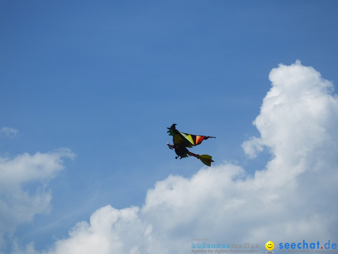 Flugmodellsportgruppe - Flugmodelltag: Ertingen, 28.05.2017