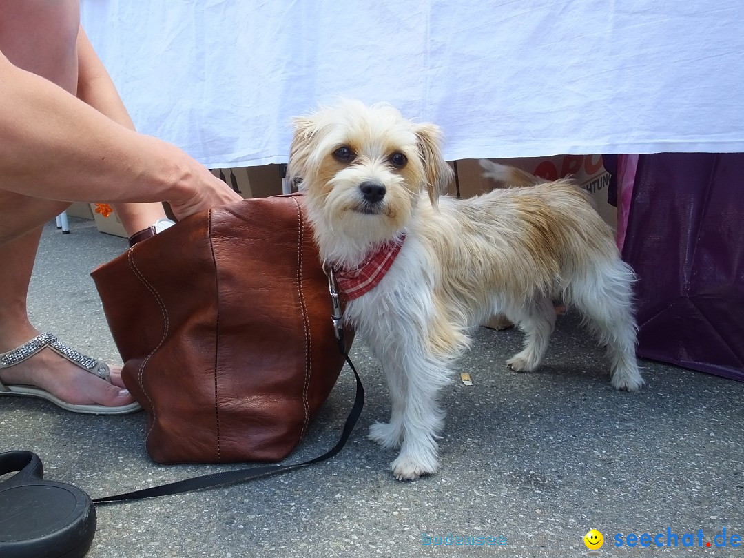 Stadtfest in Hochdorf, 17.06.2017