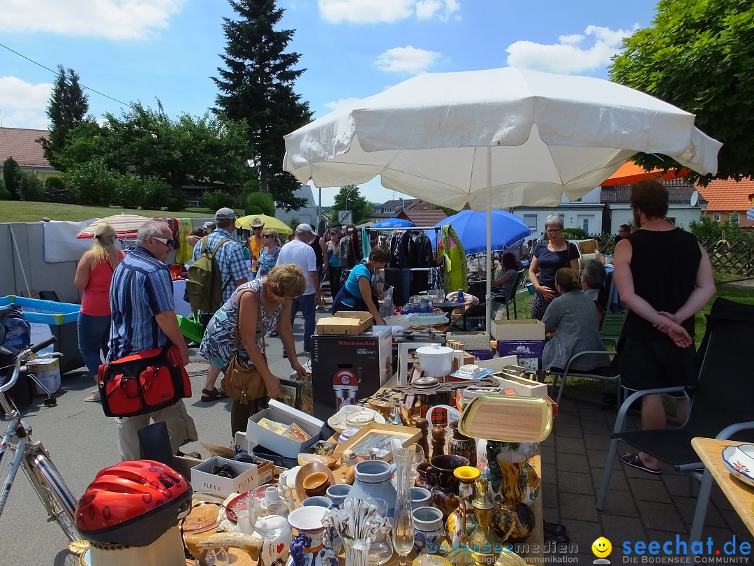Stadtfest in Hochdorf, 17.06.2017