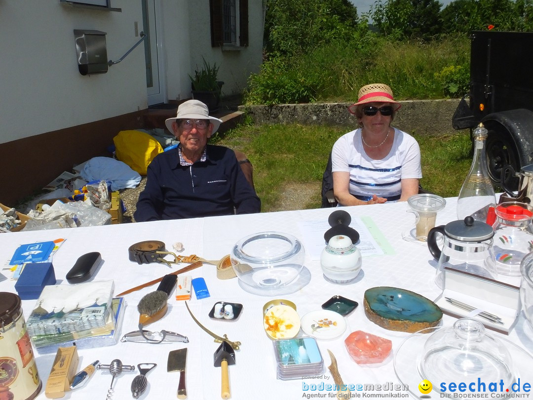 Stadtfest in Hochdorf, 17.06.2017