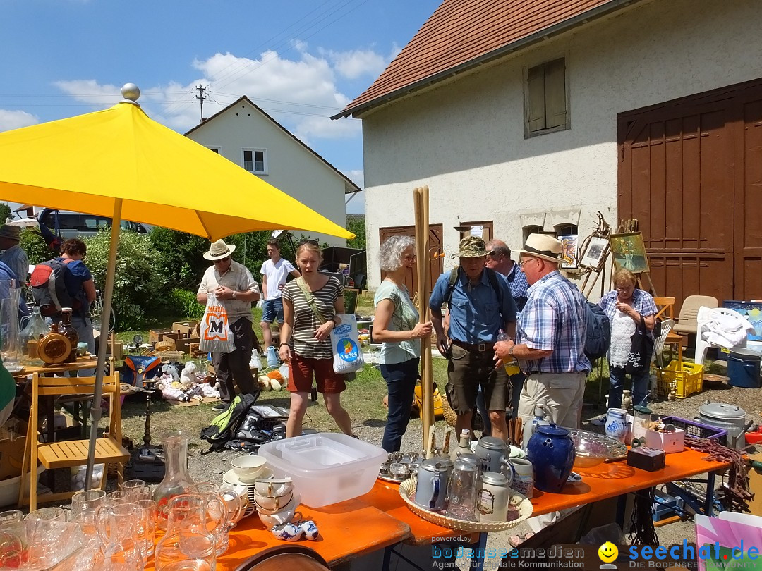 Stadtfest in Hochdorf, 17.06.2017