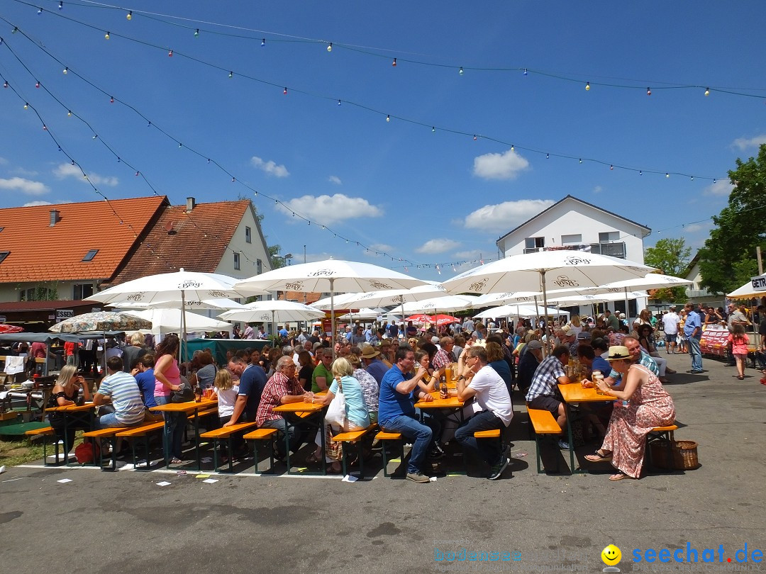 Stadtfest in Hochdorf, 17.06.2017