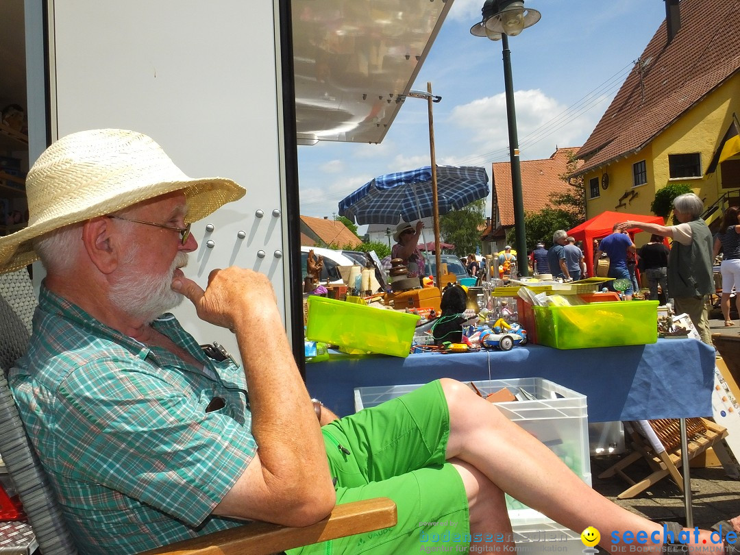Stadtfest in Hochdorf, 17.06.2017