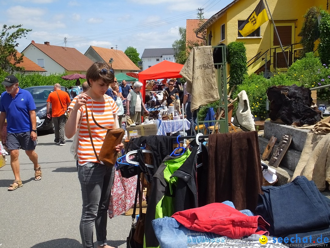 Stadtfest in Hochdorf, 17.06.2017