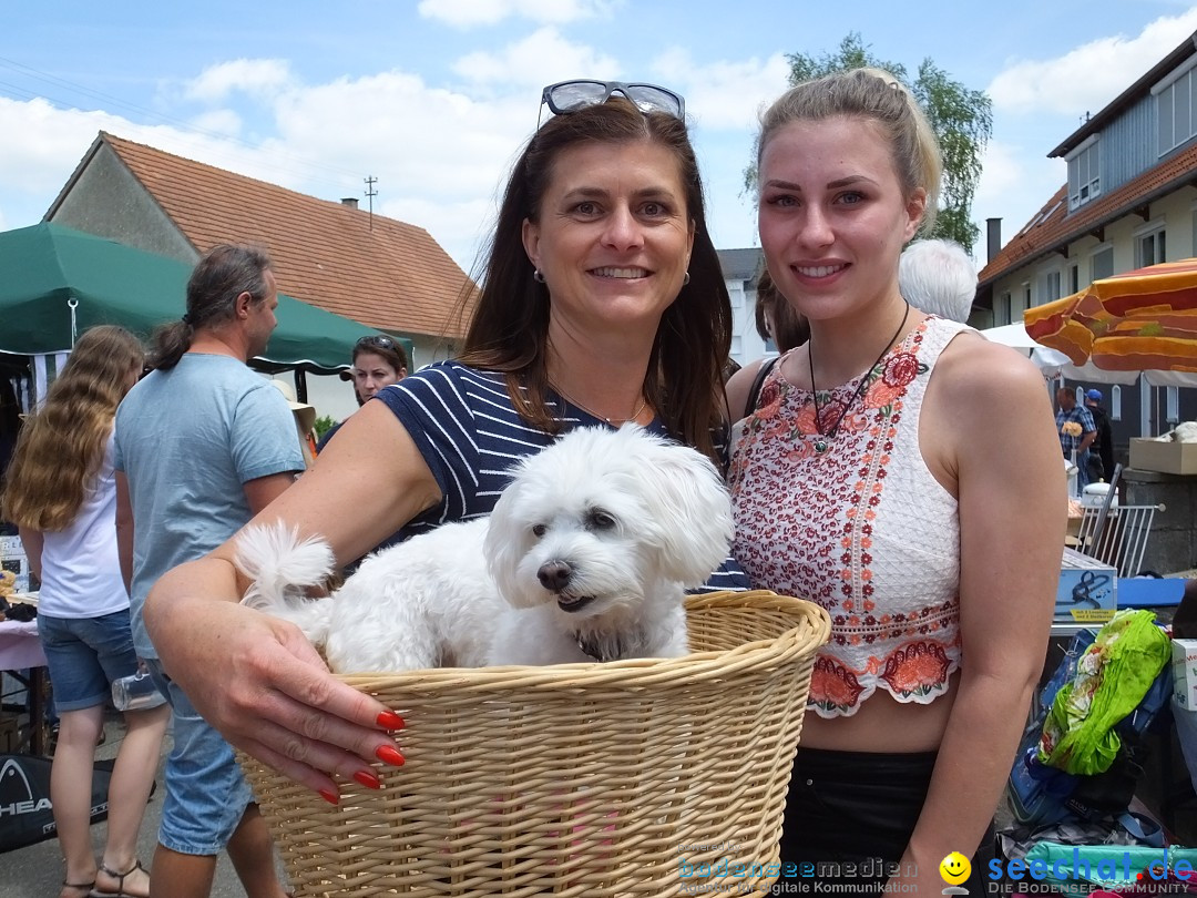 Stadtfest in Hochdorf, 17.06.2017