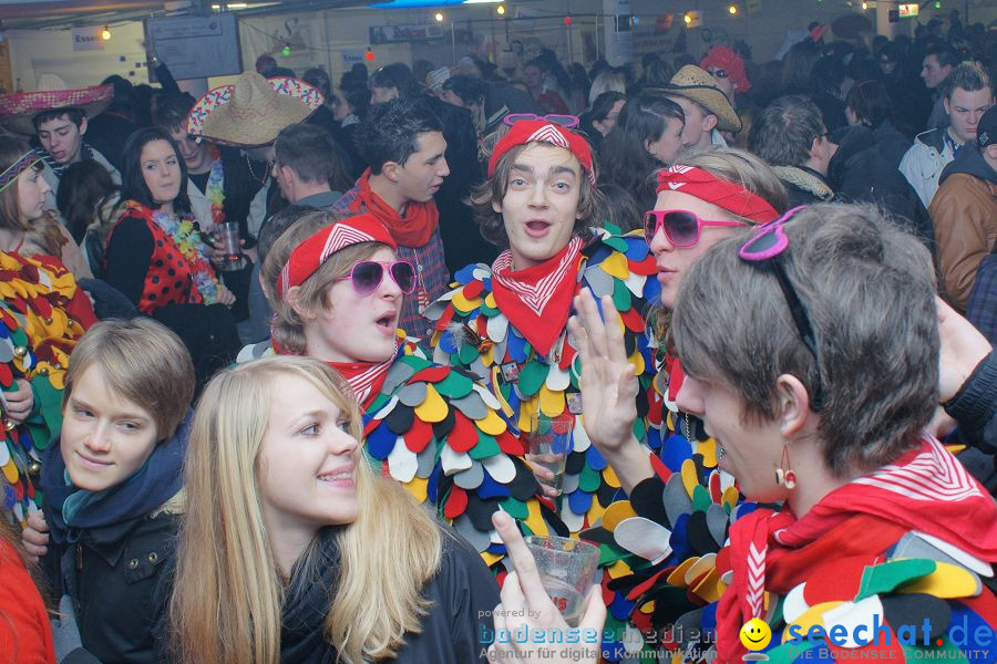 Narrentreffen: Singen, 30.01.2010