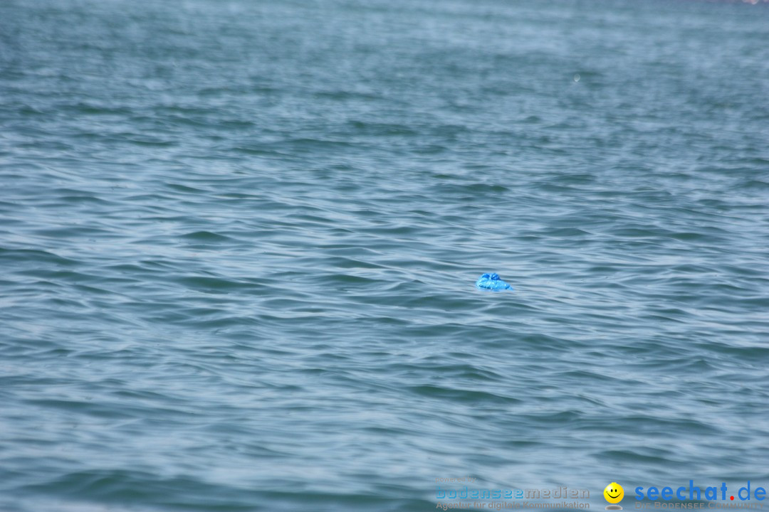 Dreilaender-Bodensee-Querung-BODENSEEBOOT-Alard-Schroeder-2017-SEECHAT_DE-I