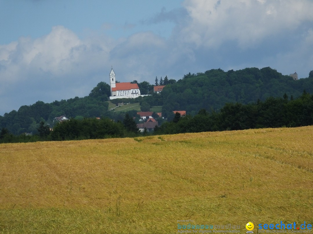 Sommerfest mit Flohmarkt - Musikverein: Uttenweiler, 25.06.2017