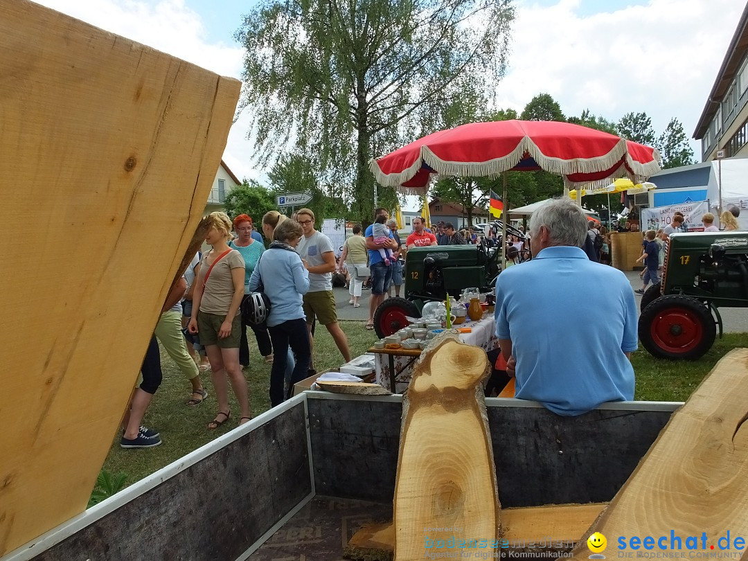 Sommerfest mit Flohmarkt - Musikverein: Uttenweiler, 25.06.2017