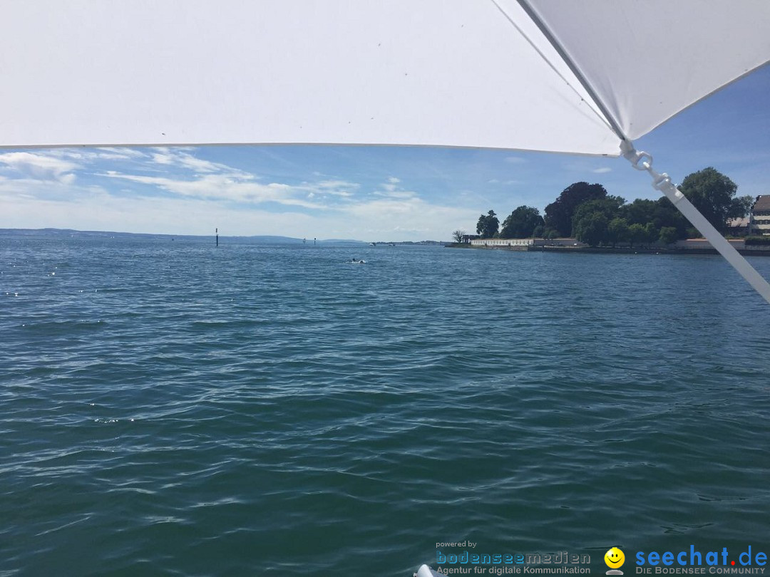 BODENSEEBOOT Breitenquerung, Conny Prasser: Friedrichshafen, 26.06.2017