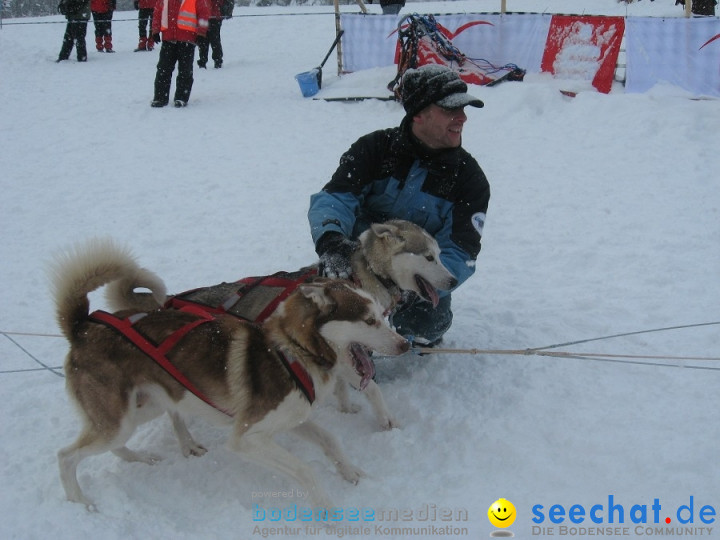 Internationales Schlittenhunderennen: Todtmoos im Schwarzwald, 31.01.2010