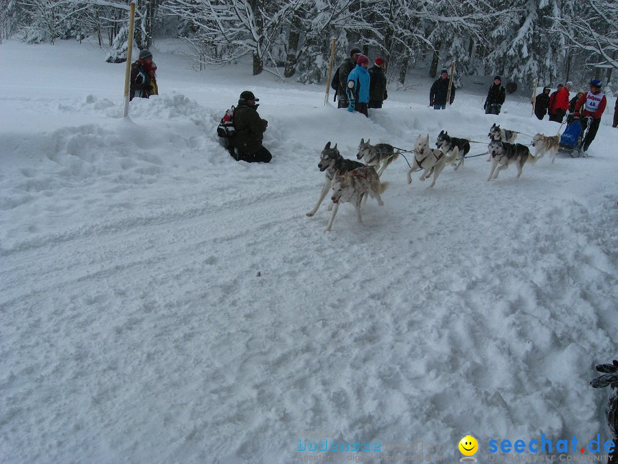 Internationales Schlittenhunderennen: Todtmoos im Schwarzwald, 31.01.2010