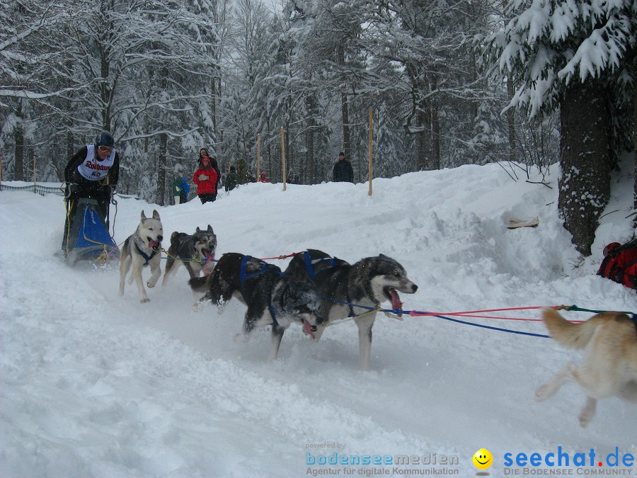 Internationales Schlittenhunderennen: Todtmoos im Schwarzwald, 31.01.2010