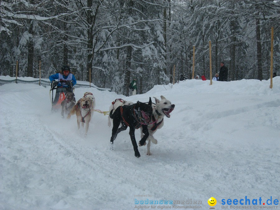 Internationales Schlittenhunderennen: Todtmoos im Schwarzwald, 31.01.2010