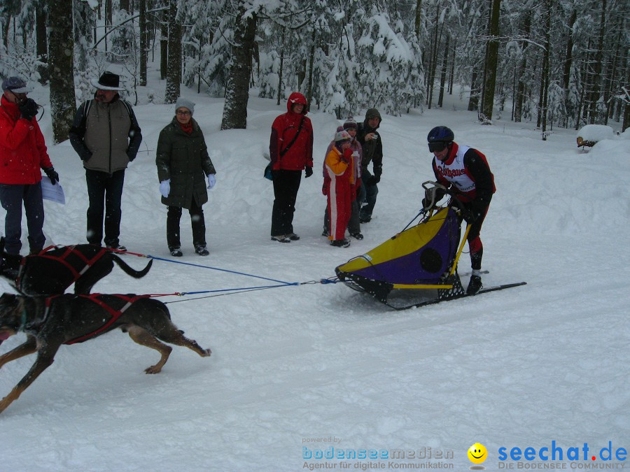 Internationales Schlittenhunderennen: Todtmoos im Schwarzwald, 31.01.2010