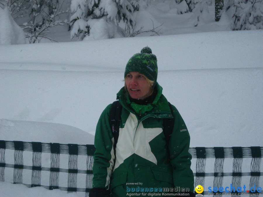 Internationales Schlittenhunderennen: Todtmoos im Schwarzwald, 31.01.2010