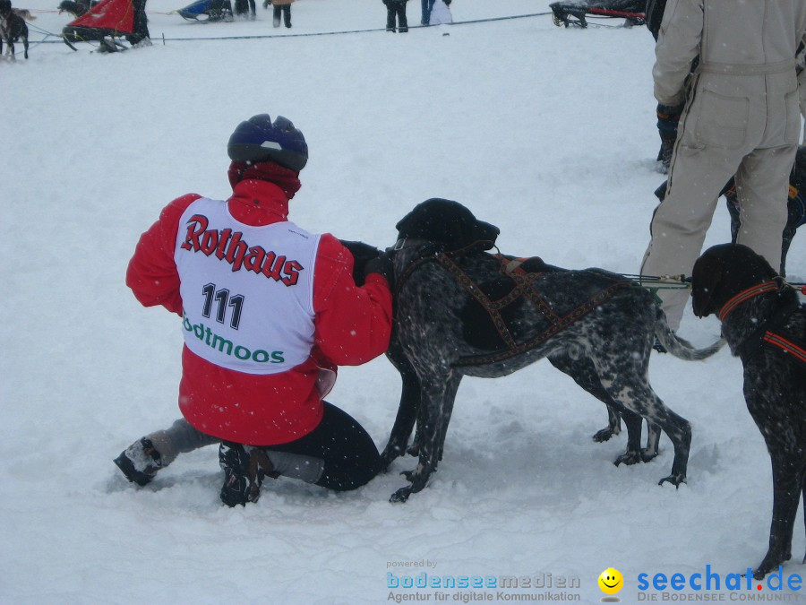 Internationales Schlittenhunderennen: Todtmoos im Schwarzwald, 31.01.2010