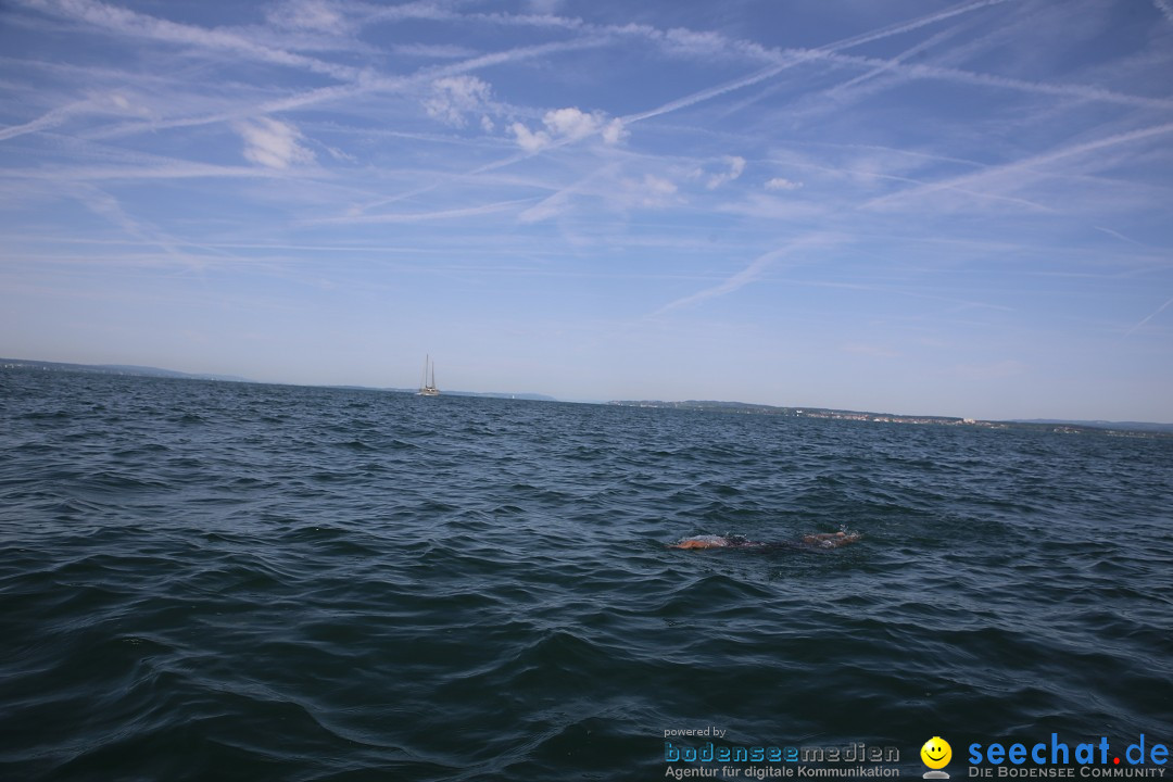 BODENSEEBOOT-Bodenseequerung-Michael-Loechle-2017-Bodensee-Community-SEECHA