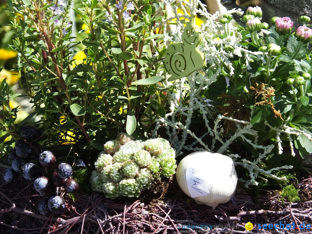 Handwerkermarkt mit Human-Soccer: Oggelshausen, 05.08.2017
