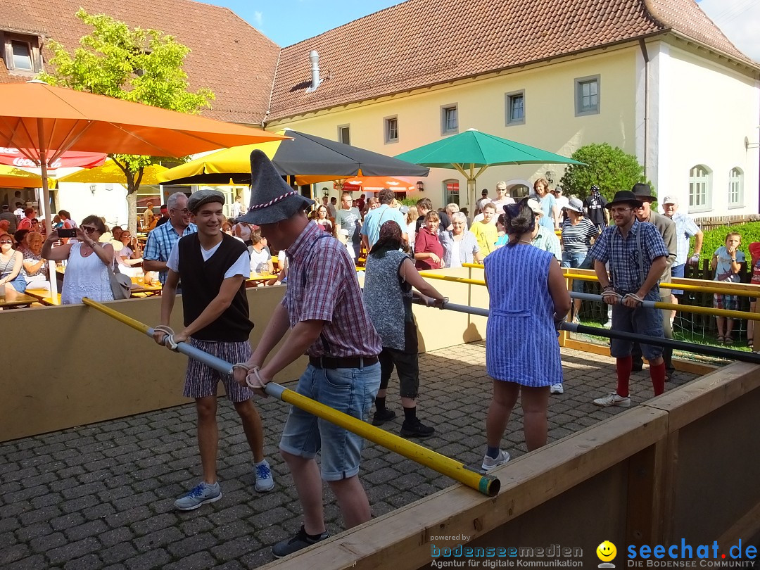 Handwerkermarkt mit Human-Soccer: Oggelshausen, 05.08.2017