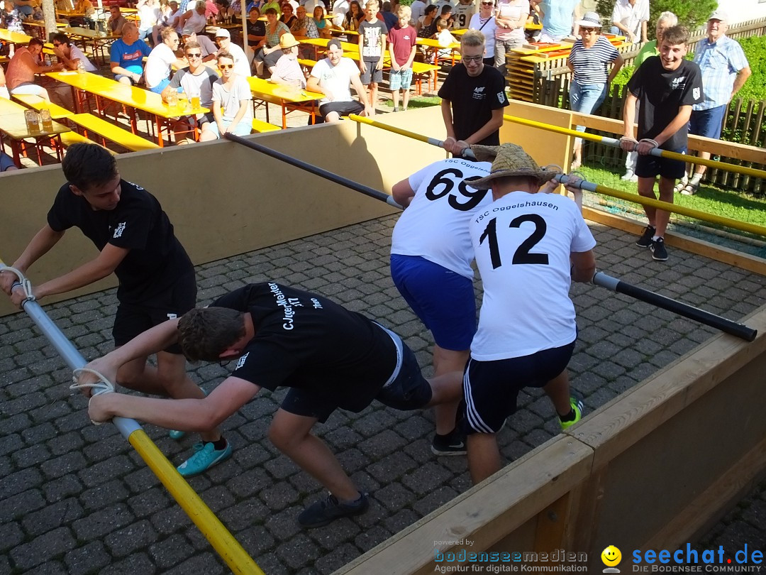Handwerkermarkt mit Human-Soccer: Oggelshausen, 05.08.2017