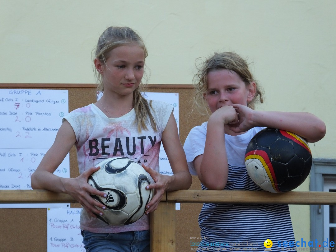 Handwerkermarkt mit Human-Soccer: Oggelshausen, 05.08.2017