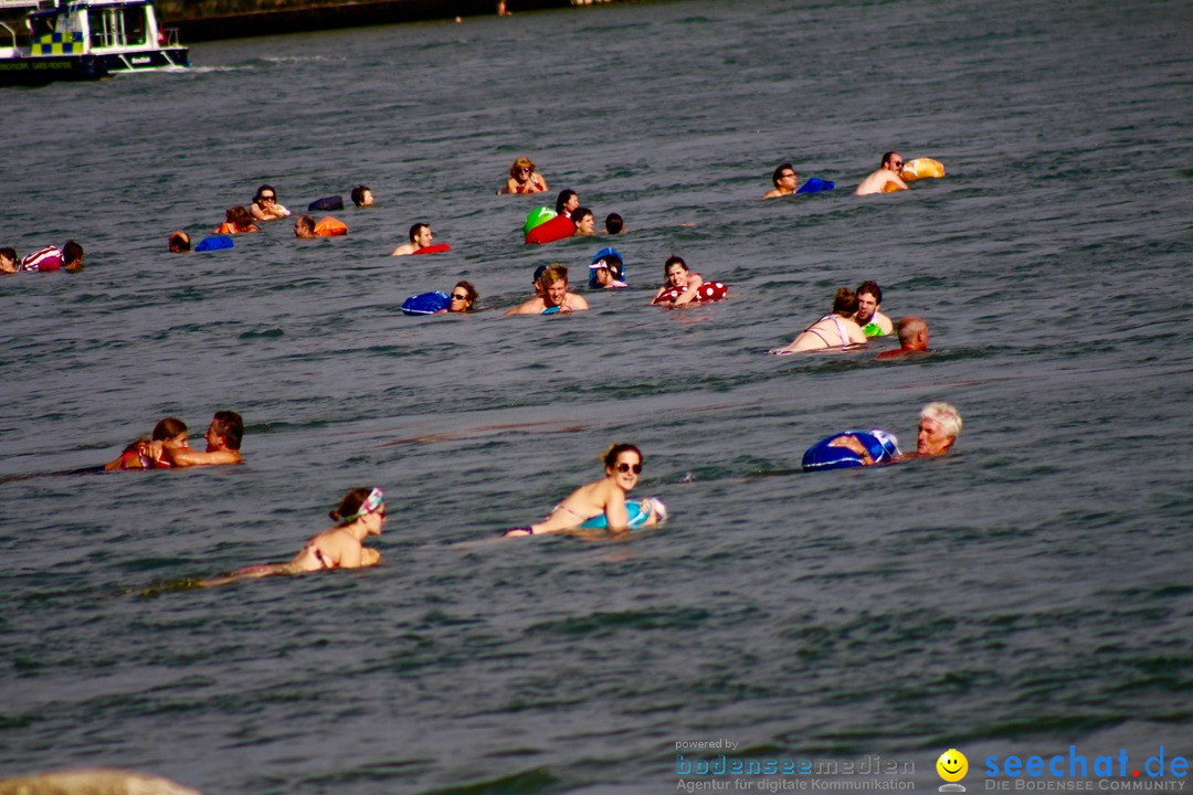 Rheinschwimmen: Basel, 15.08.2017