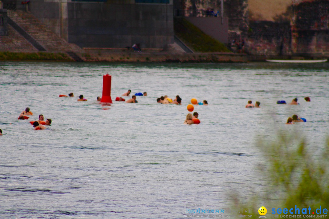 Rheinschwimmen: Basel, 15.08.2017