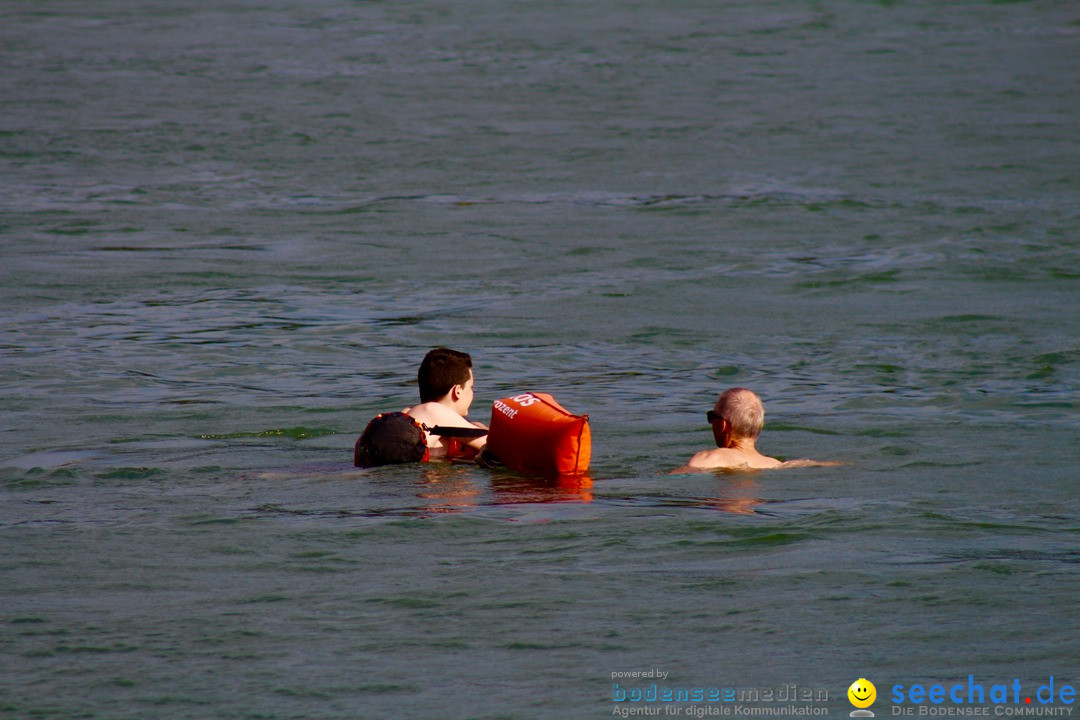 Rheinschwimmen: Basel, 15.08.2017