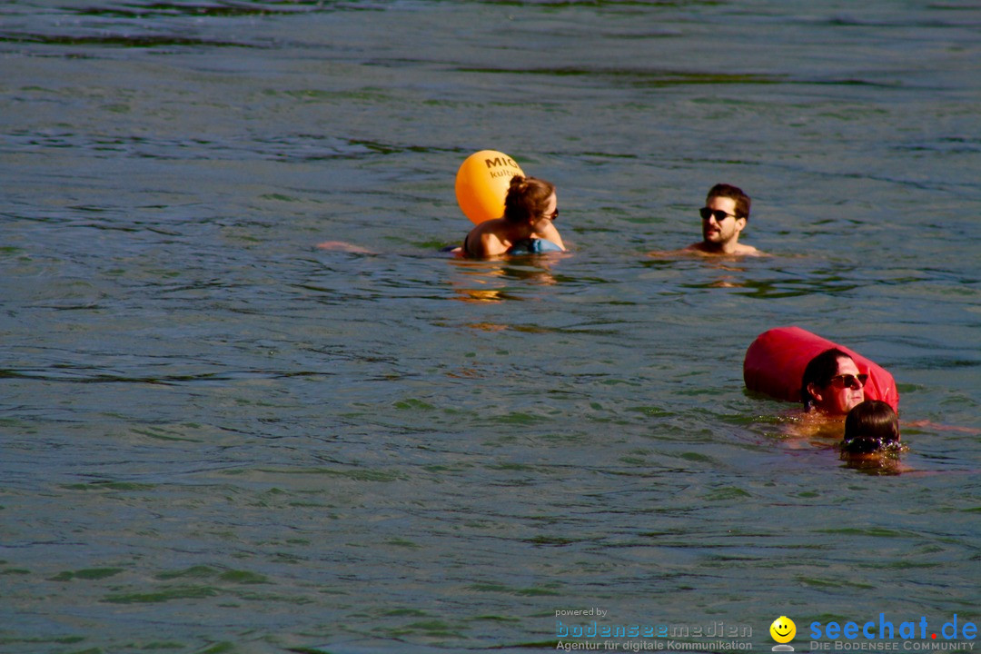 Rheinschwimmen: Basel, 15.08.2017
