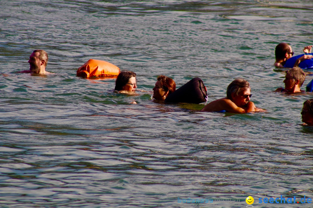 Rheinschwimmen: Basel, 15.08.2017