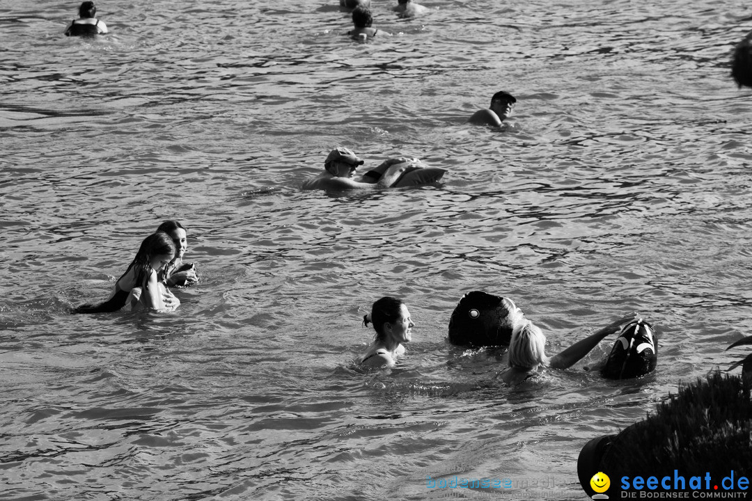 Rheinschwimmen: Basel, 15.08.2017
