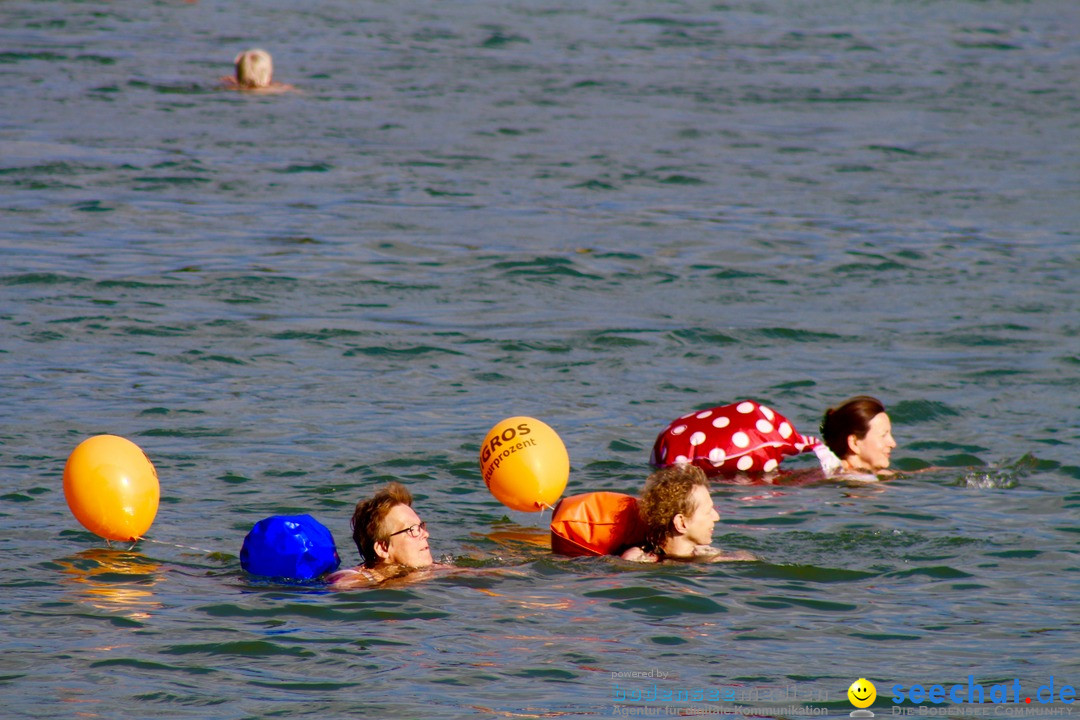 Rheinschwimmen: Basel, 15.08.2017