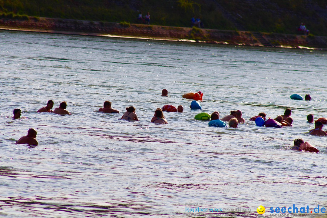 Rheinschwimmen: Basel, 15.08.2017