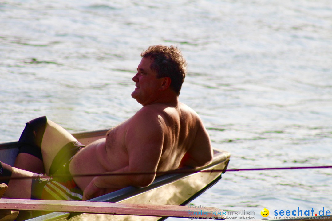 Rheinschwimmen: Basel, 15.08.2017