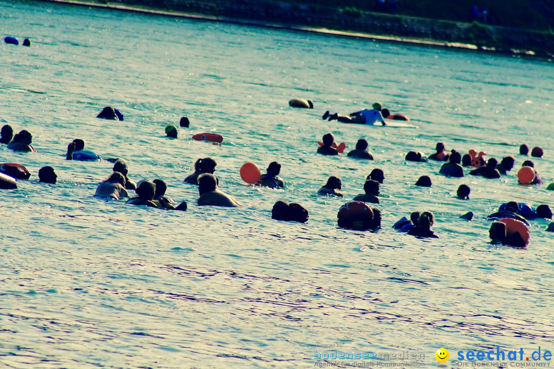 Rheinschwimmen: Basel, 15.08.2017