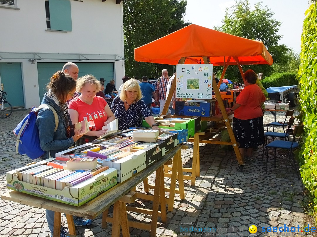 39. Schloss- und Kinderfest: Aulendorf, 20.08.2017